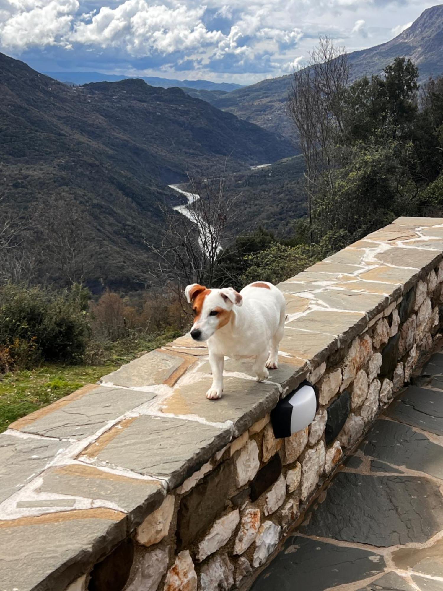 Tovouno Pension Plaka  Buitenkant foto